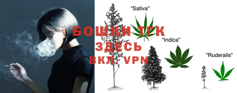 сколько стоит  Армавир  Бошки марихуана Ganja 